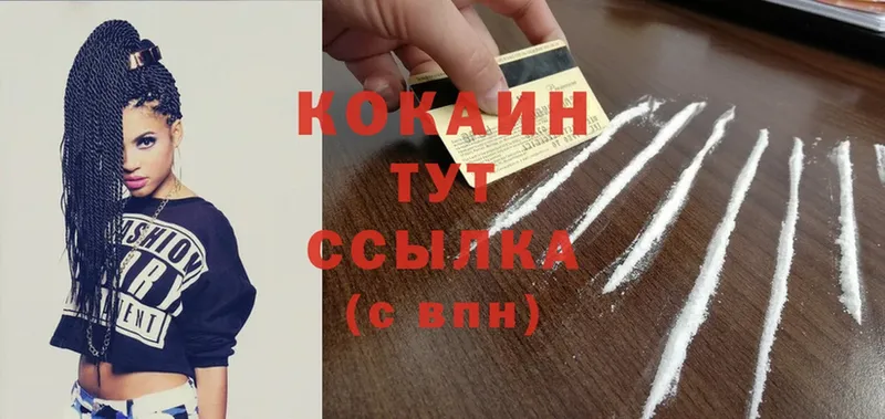 где найти   Чистополь  COCAIN Fish Scale 